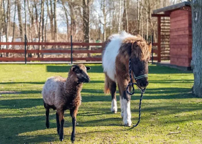 アパート Cozy In With Sauna *