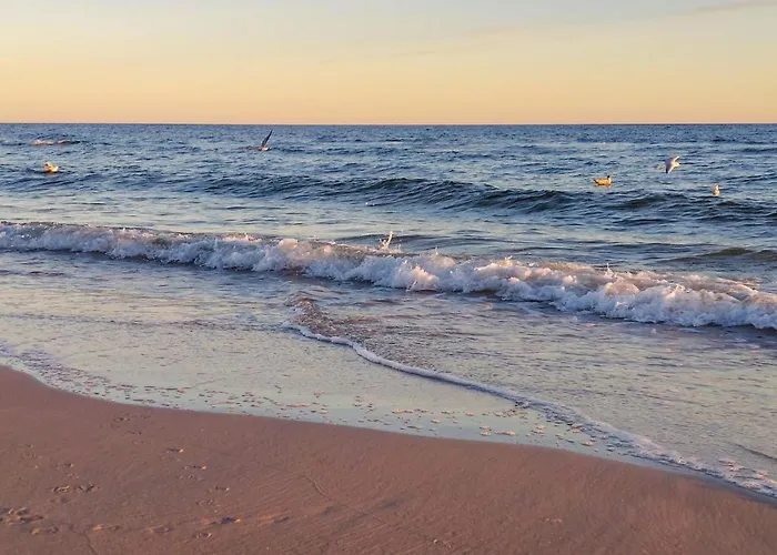 アパート Cozy In With Sauna *